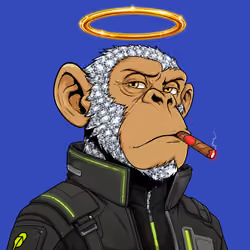 Ape#1704