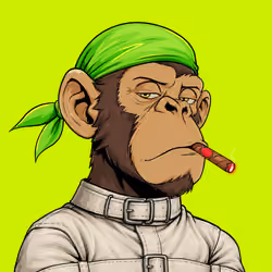 Ape#1831