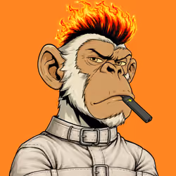 Ape#1713