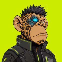 Ape#1207