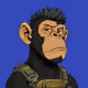 Ape#0290