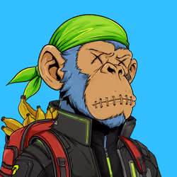 Ape#1751