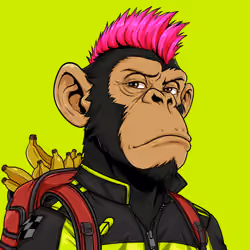 Ape#1481