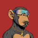Ape#0345