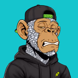 Ape#0893