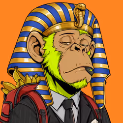 Ape#1801