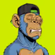 Ape#1053