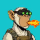 Ape#1739