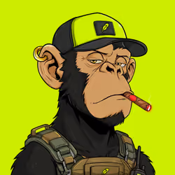 Ape#1617