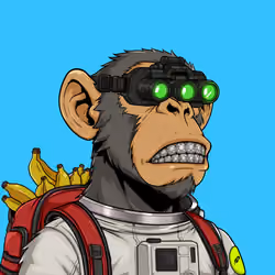 Ape#1865
