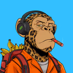 Ape#2186
