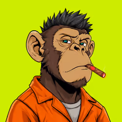 Ape#0649