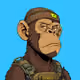 Ape#0142