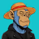 Ape#1662