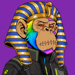 Ape#1174