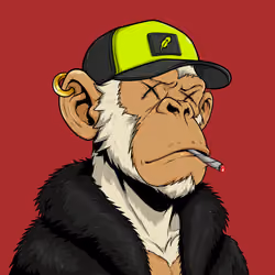 Ape#1306