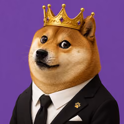 DOGE #3