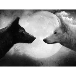 WOLVES