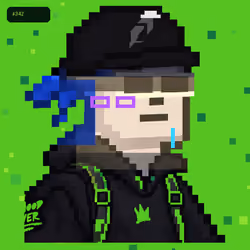 Green Hood #342
