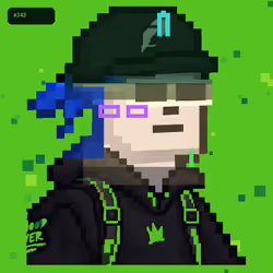 Green Hood #343