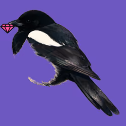 MAGPIE #1054