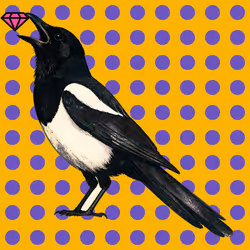MAGPIE #1653