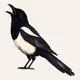 MAGPIE #1361