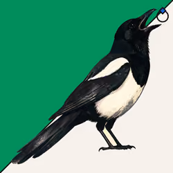 MAGPIE #1364