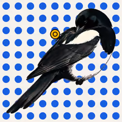 MAGPIE #142
