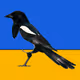 MAGPIE #64