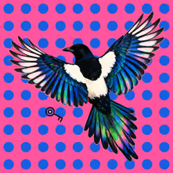 MAGPIE #144