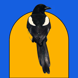 MAGPIE #1662