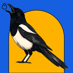 MAGPIE #1049
