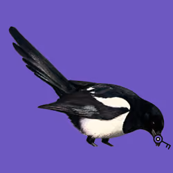 MAGPIE #1490