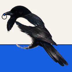 MAGPIE #139
