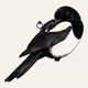 MAGPIE #1617