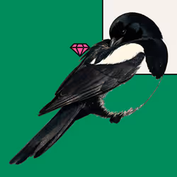MAGPIE #1573