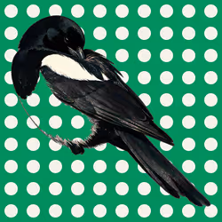 MAGPIE #1497