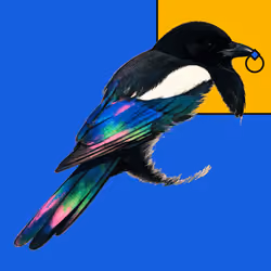 MAGPIE #1383