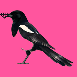 MAGPIE #13