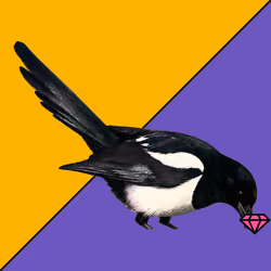 MAGPIE #304