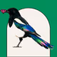 MAGPIE #59