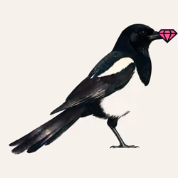 MAGPIE #109