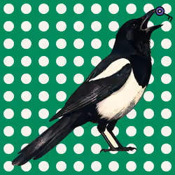 MAGPIE #1000