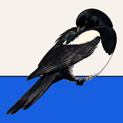 MAGPIE #1396