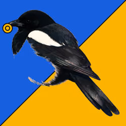 MAGPIE #1085