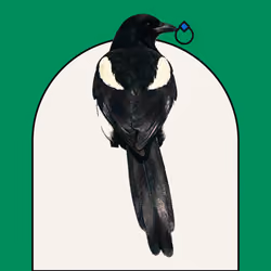 MAGPIE #1394