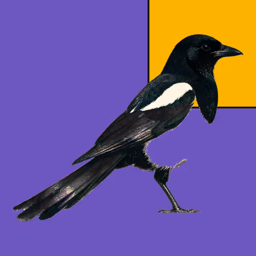 MAGPIE #285