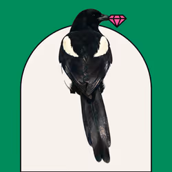 MAGPIE #1484
