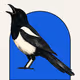 MAGPIE #1783